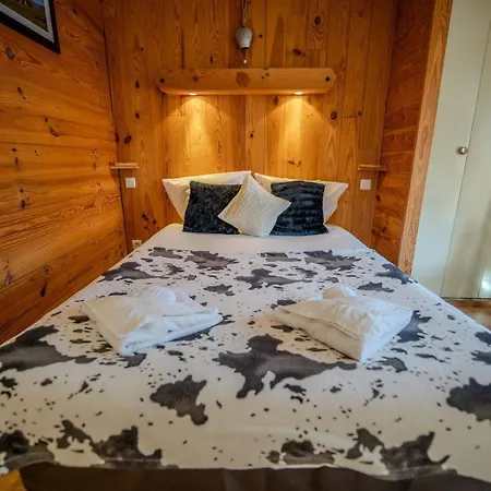 Otel Du Centre 2*