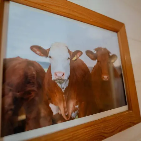 Du Centre Hotel Valloire