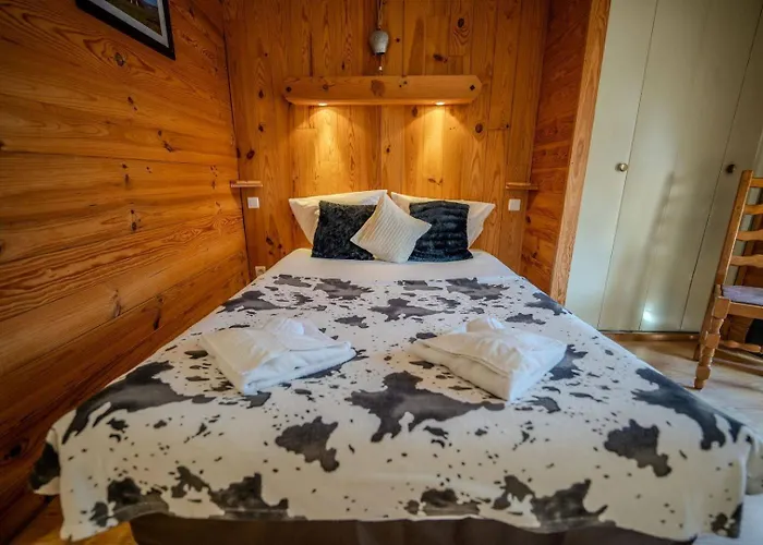 Otel Du Centre 2*