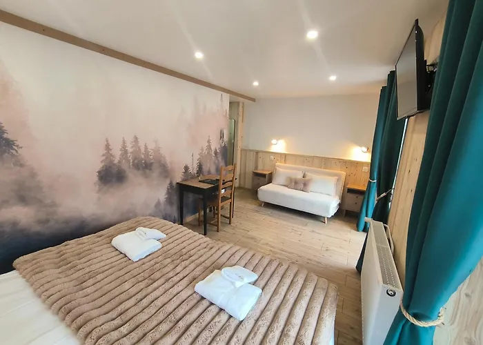 Otel Du Centre 2*